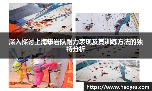 深入探讨上海攀岩队耐力表现及其训练方法的独特分析