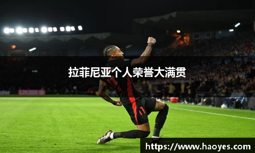 拉菲尼亚个人荣誉大满贯