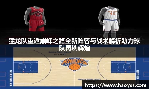 猛龙队重返巅峰之路全新阵容与战术解析助力球队再创辉煌