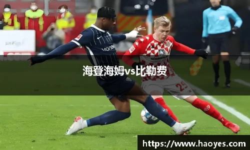 海登海姆vs比勒费