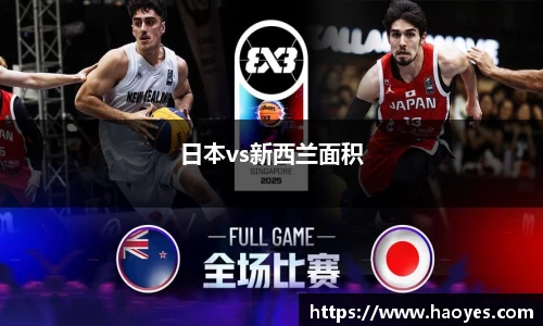 日本vs新西兰面积