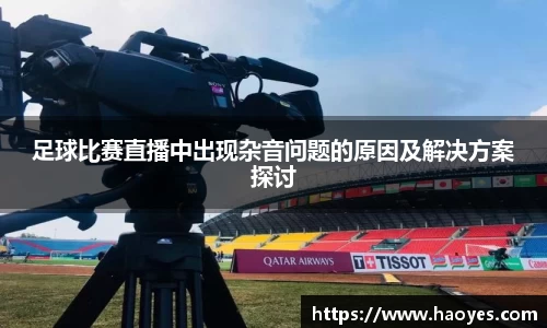 足球比赛直播中出现杂音问题的原因及解决方案探讨