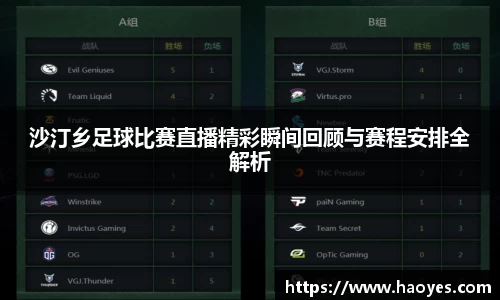 沙汀乡足球比赛直播精彩瞬间回顾与赛程安排全解析